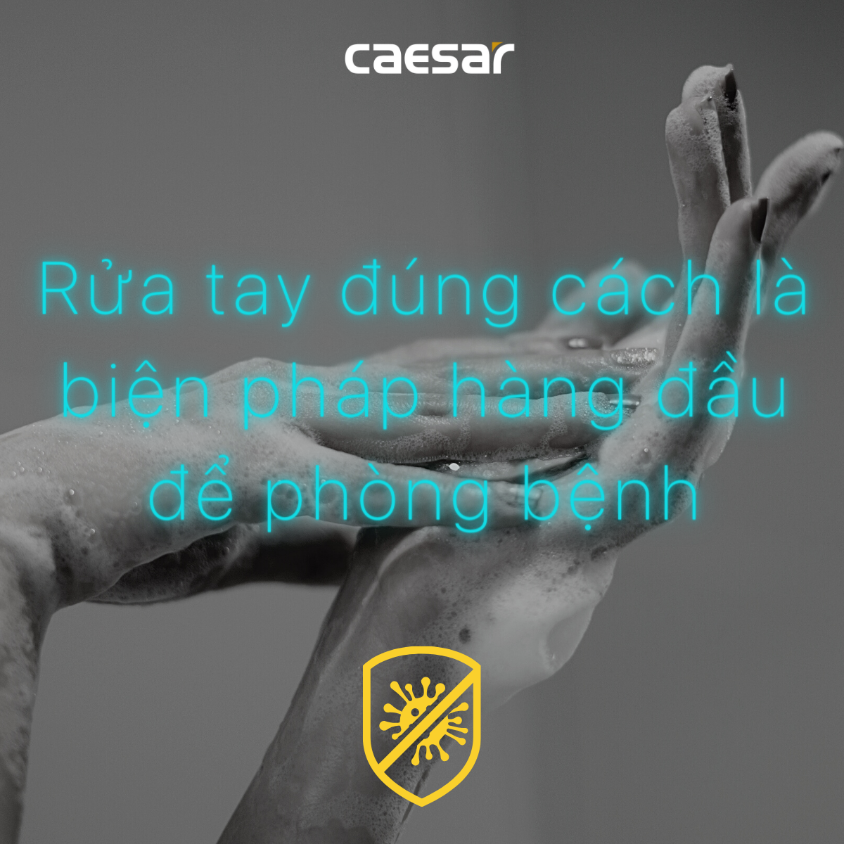 Hộp xà phòng đơn Caesar Q821