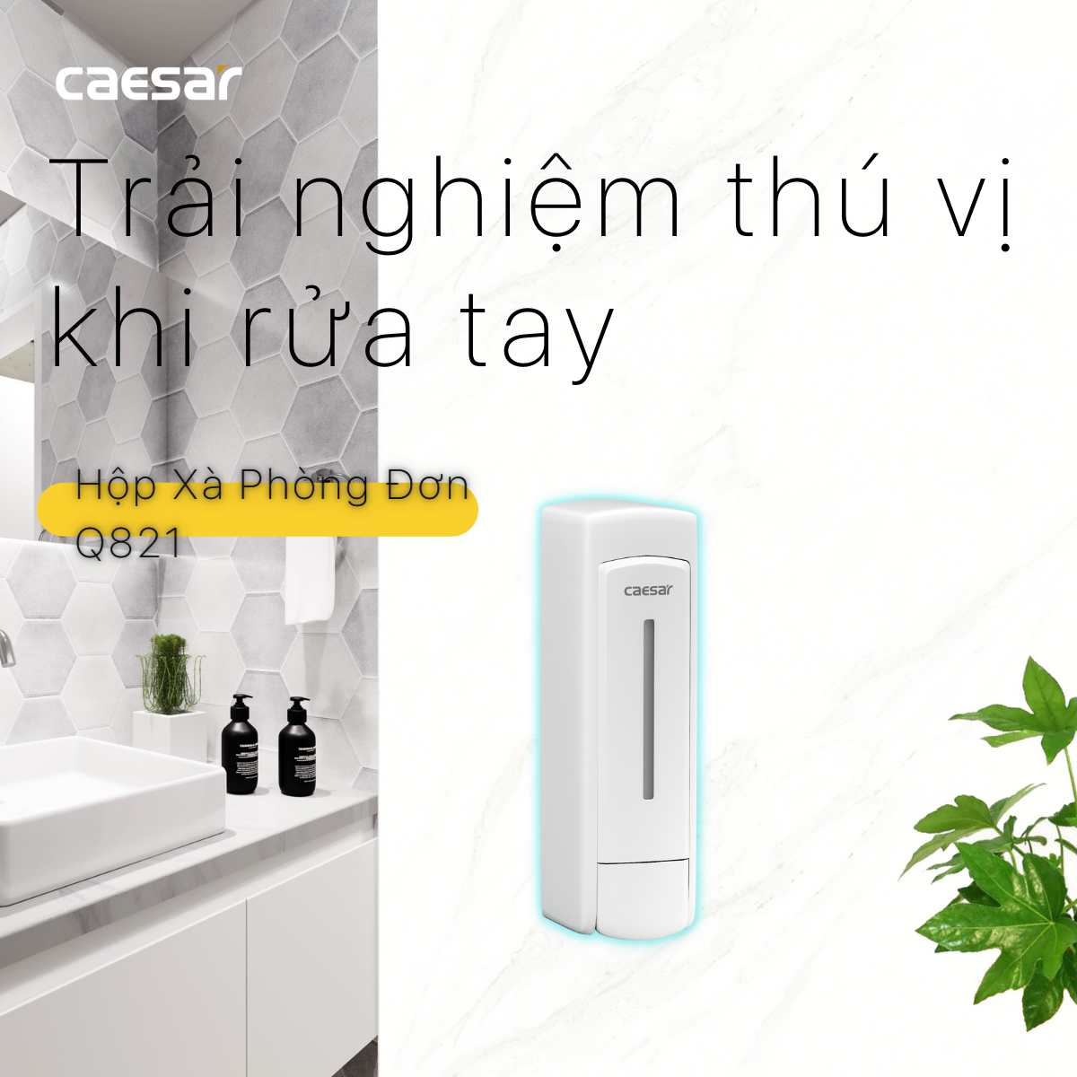 Hộp xà phòng đơn Caesar Q821