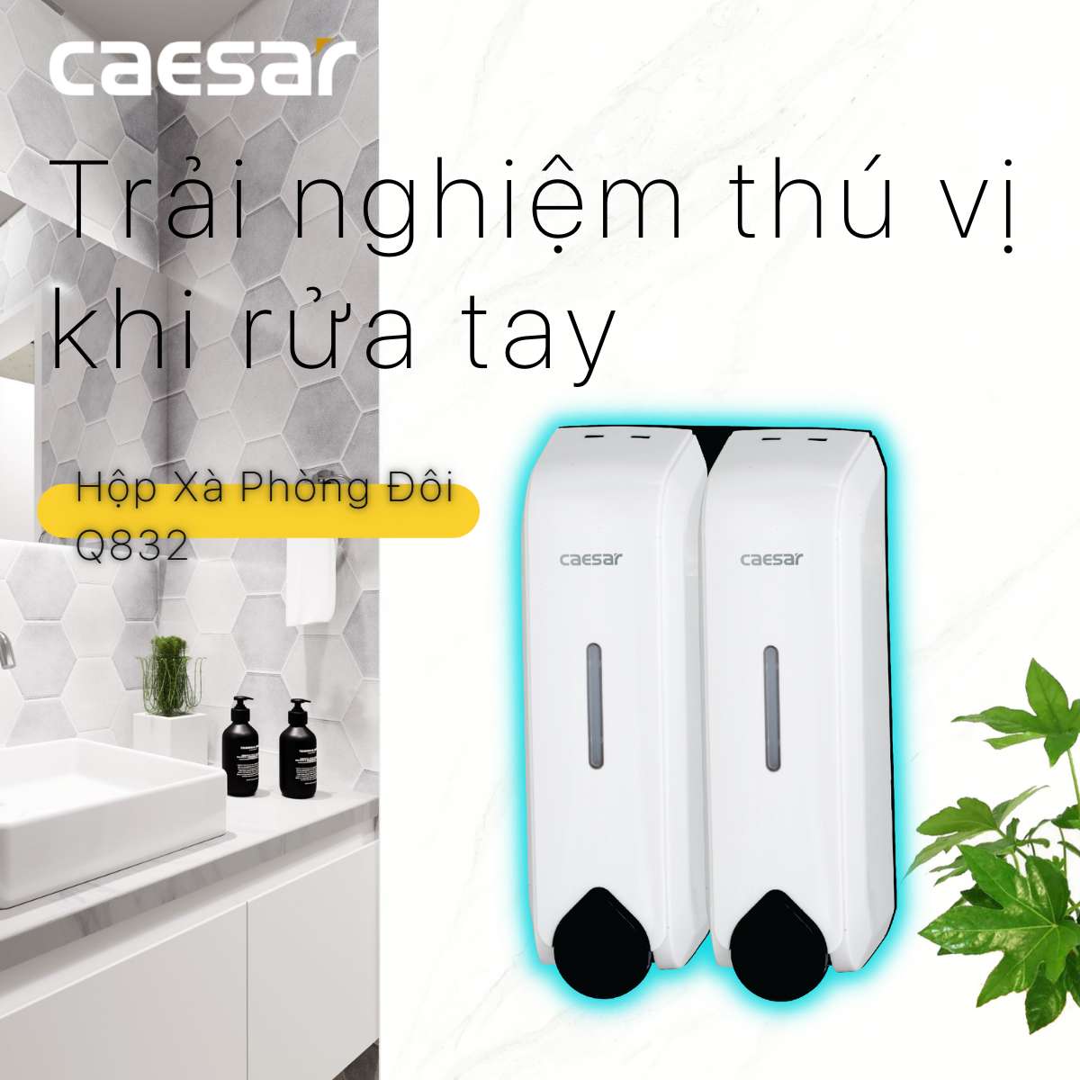 Hộp xà phòng đôi Caesar Q832
