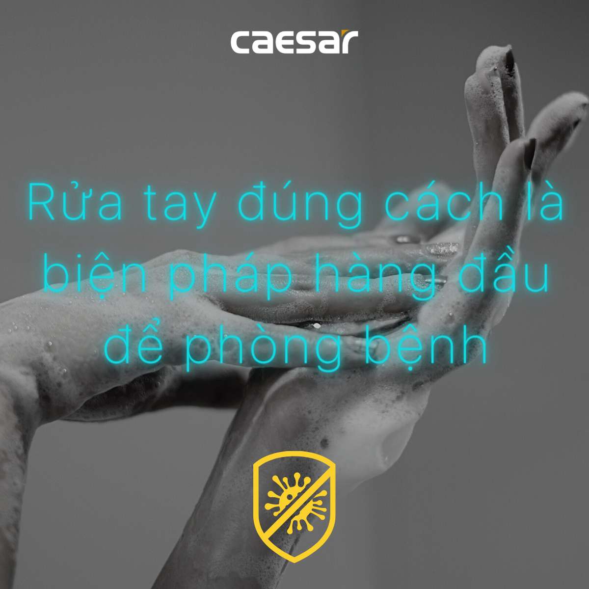 Hộp xà phòng đôi Caesar Q832