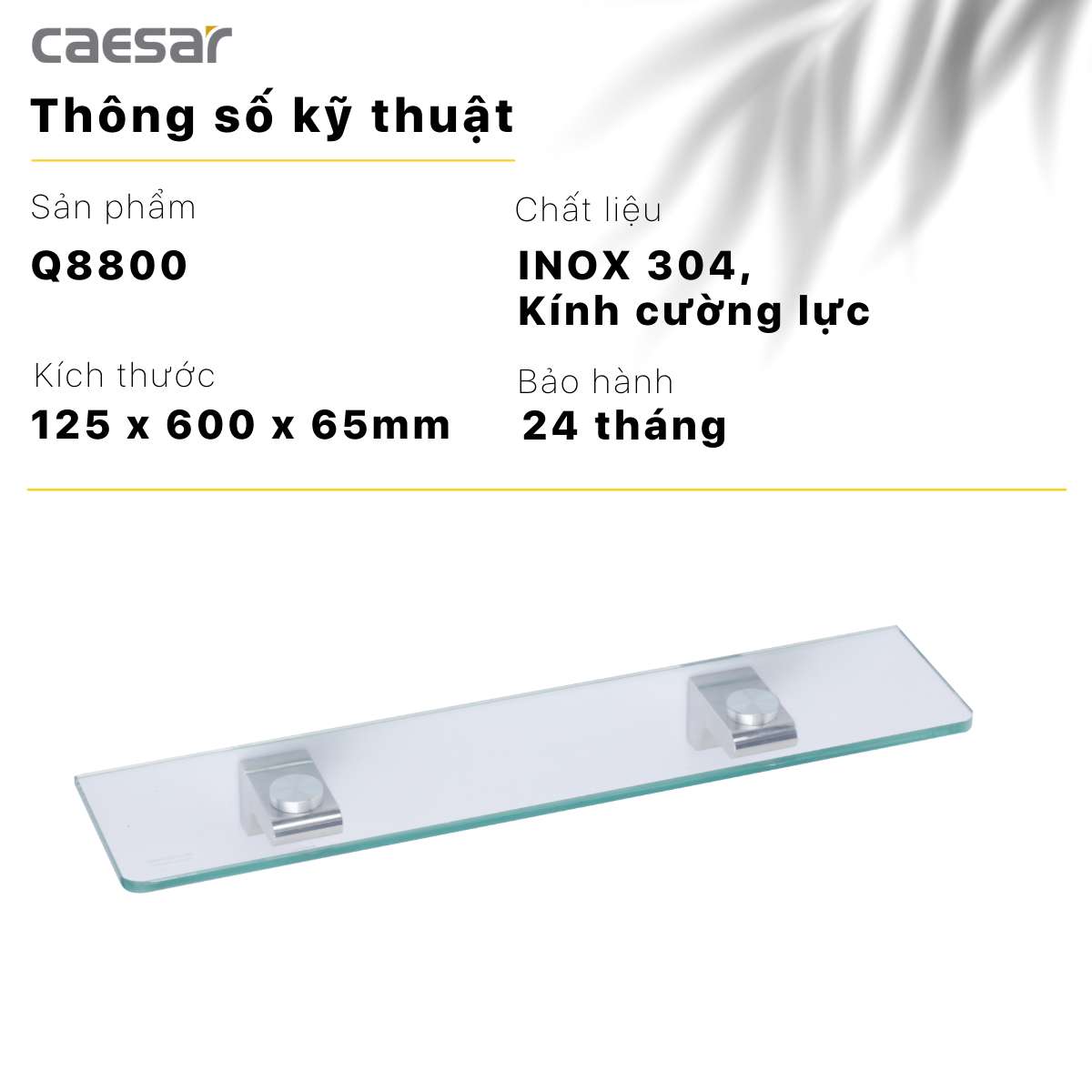 Kệ kính Caesar Q8800