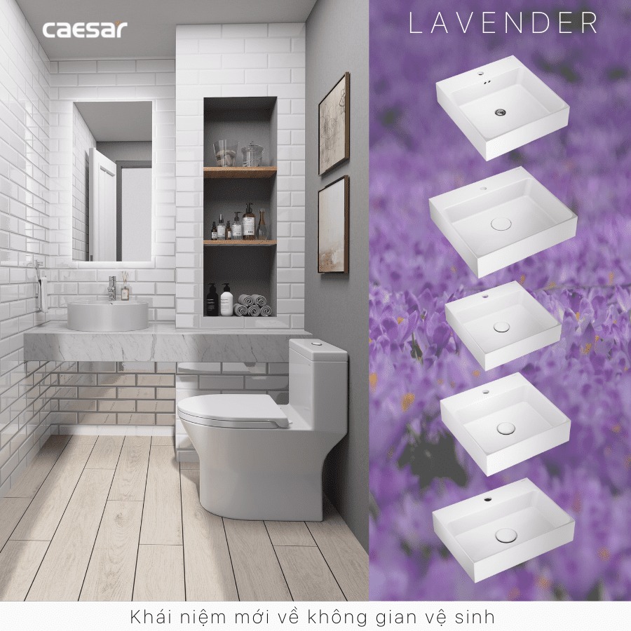 Chậu lavabo đặt bàn Caesar LF5240