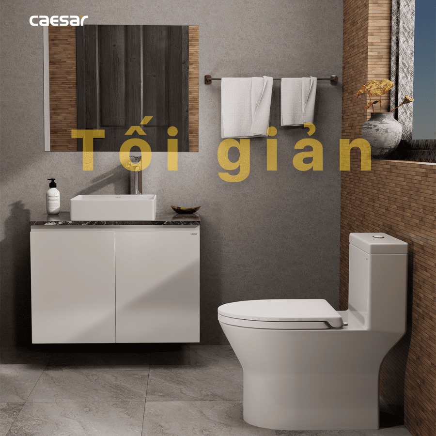 Chậu lavabo đặt bàn Caesar LF5252