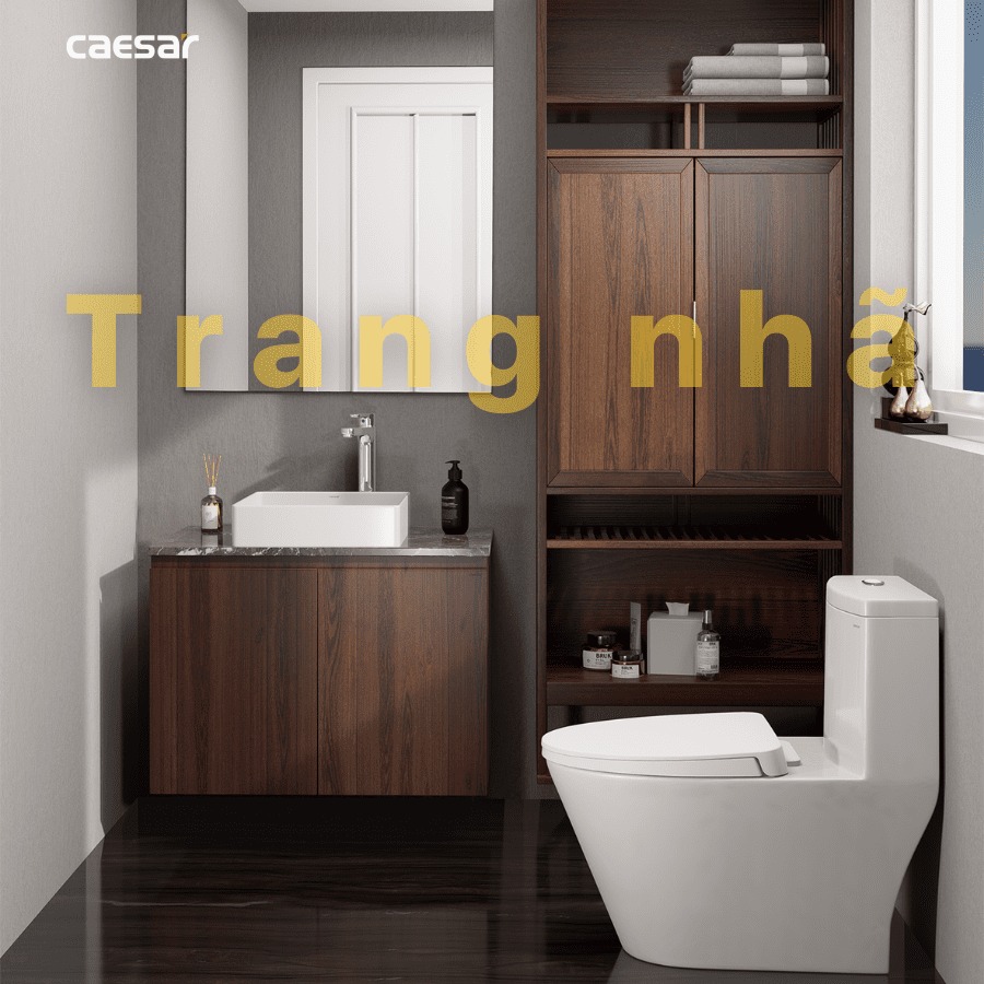 Chậu lavabo đặt bàn Caesar LF5252