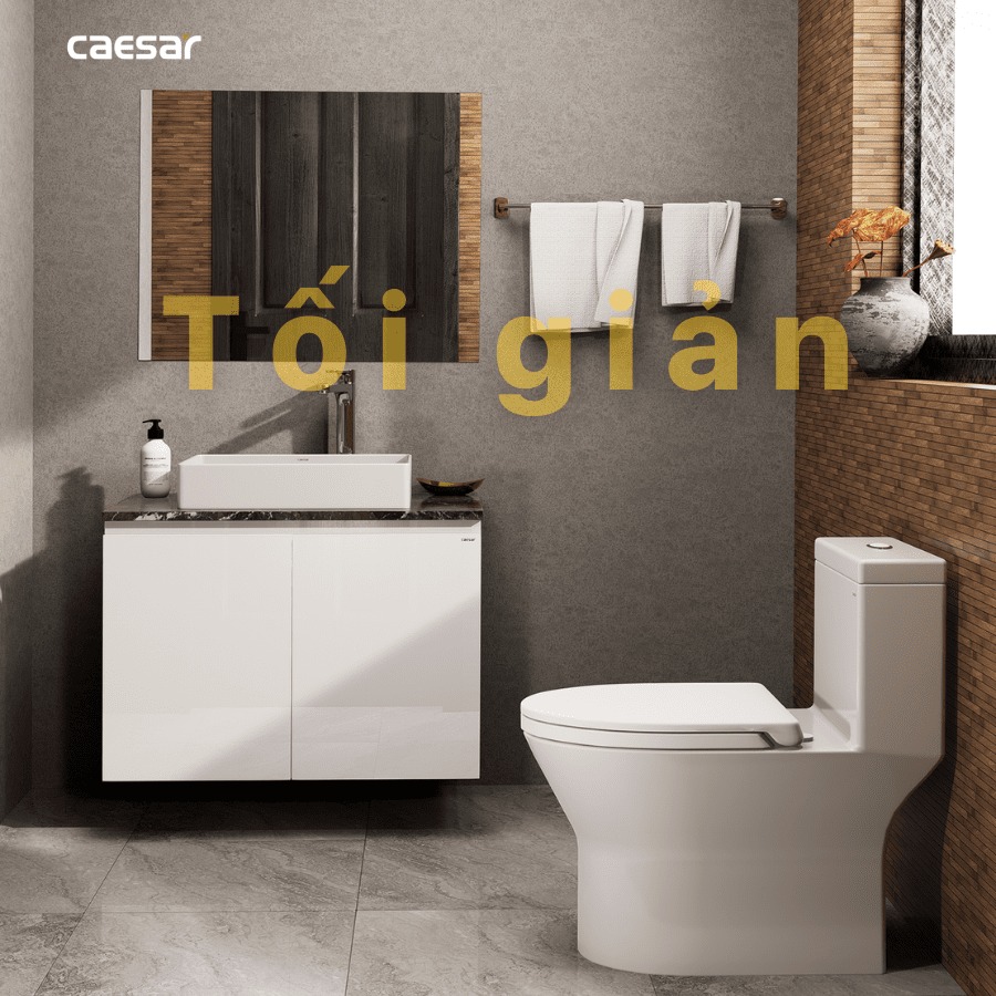 Chậu lavabo đặt bàn Caesar LF5254