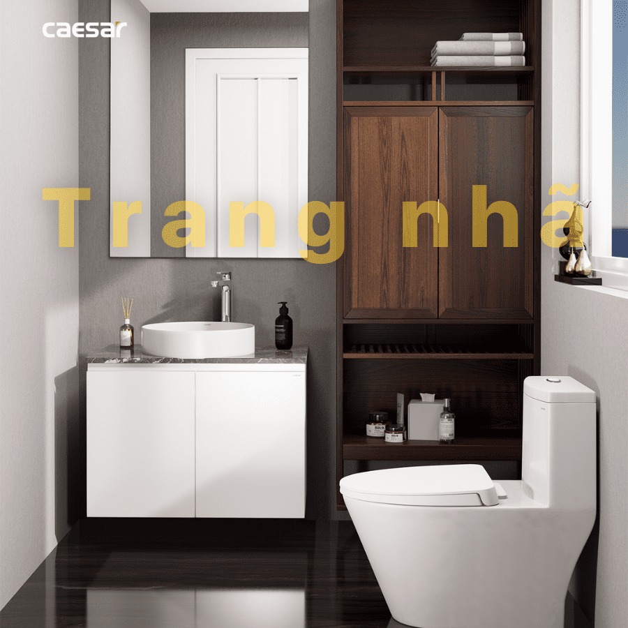 Chậu lavabo đặt bàn Caesar LF5258