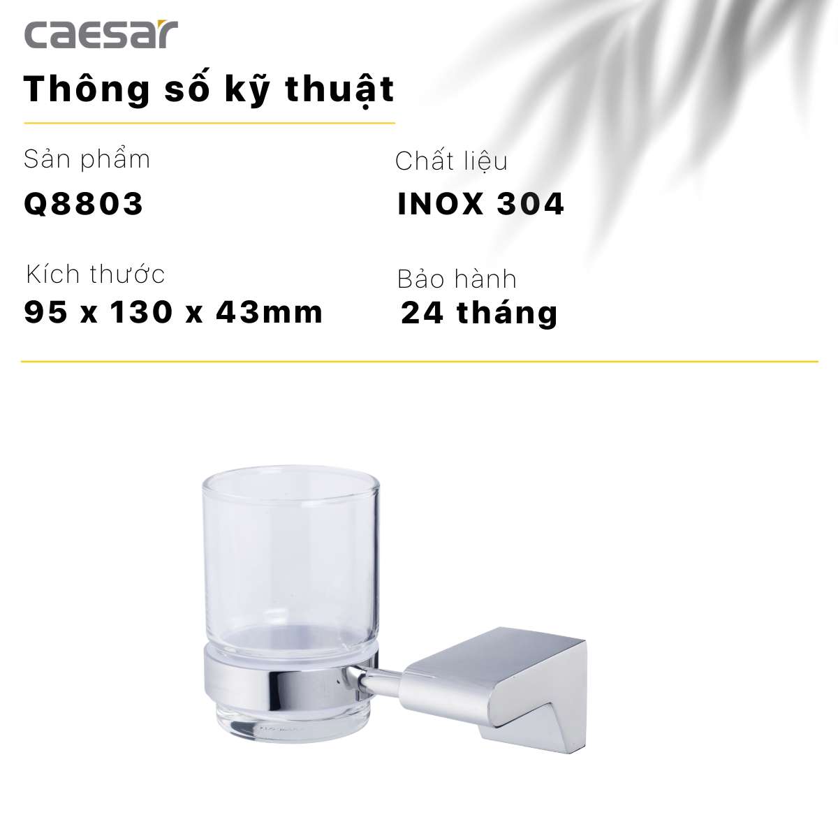 Kệ để bàn chải răng Caesar Q8803