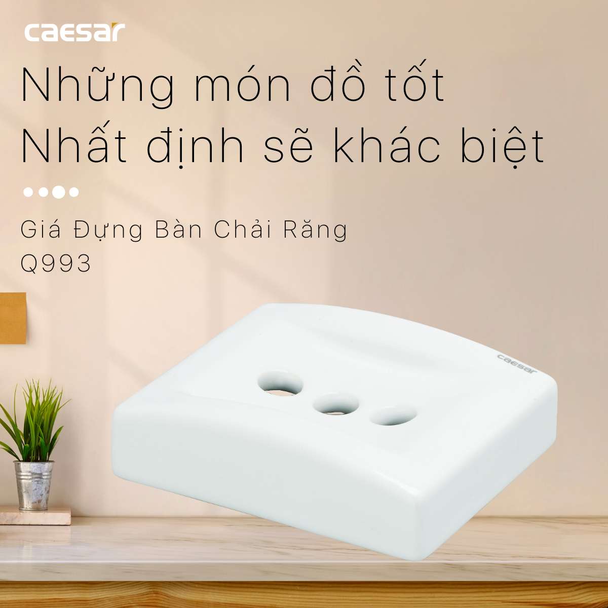 Giá đựng bàn chải răng Caesar Q993