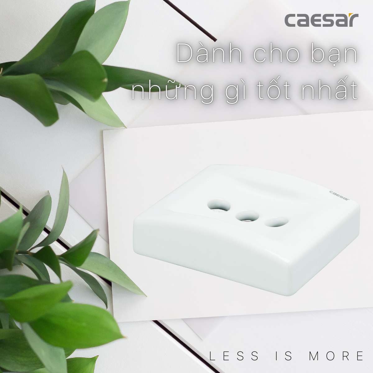Giá đựng bàn chải răng Caesar Q993