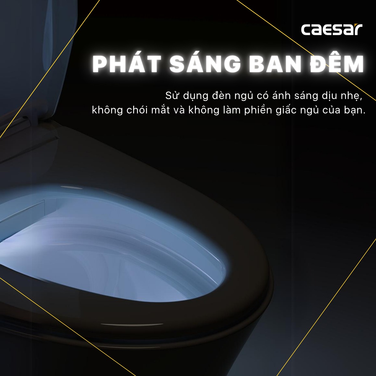 Nắp rửa điện tử Caesar TAF610H (TAF610H-PW)