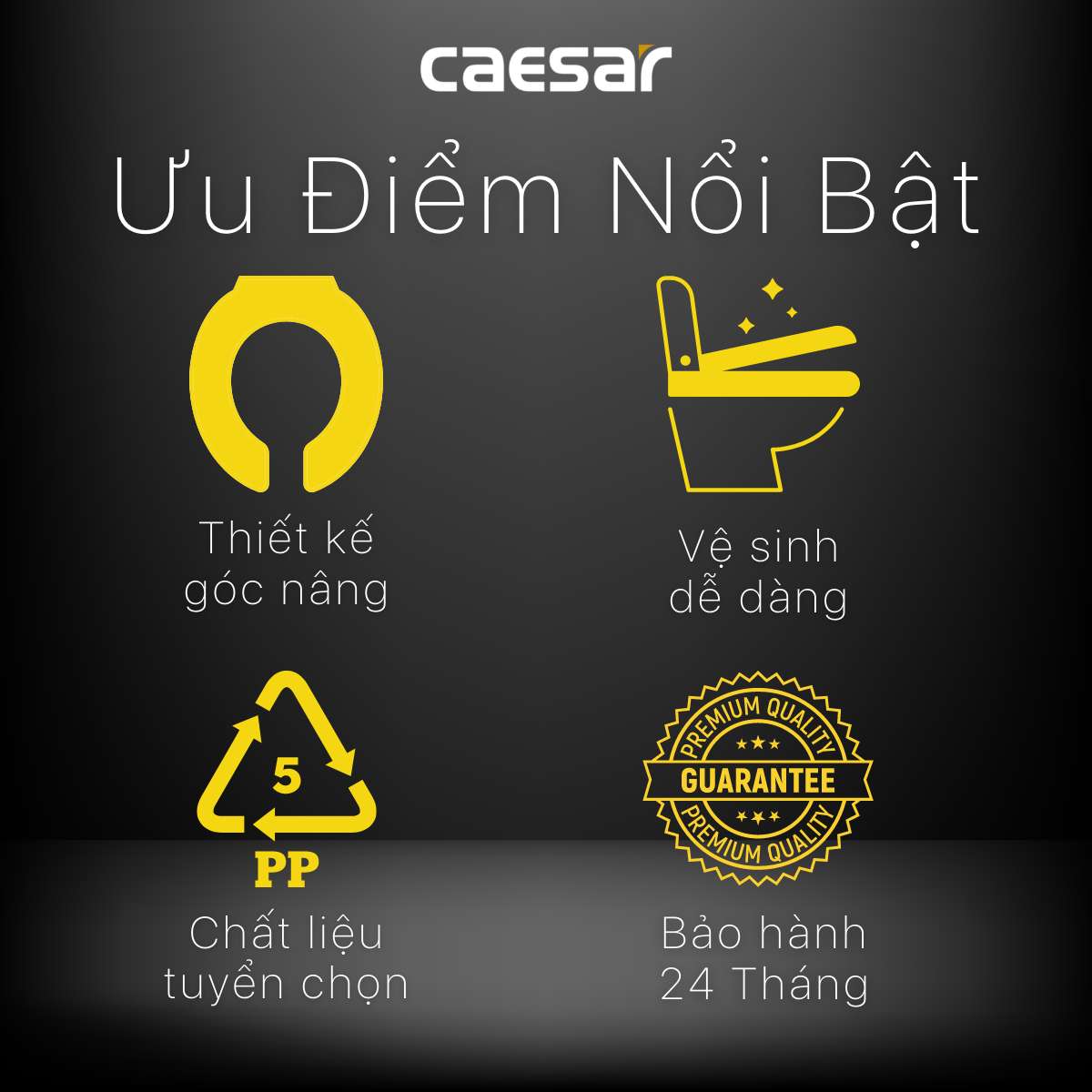 Nắp bồn cầu thường Caesar M220