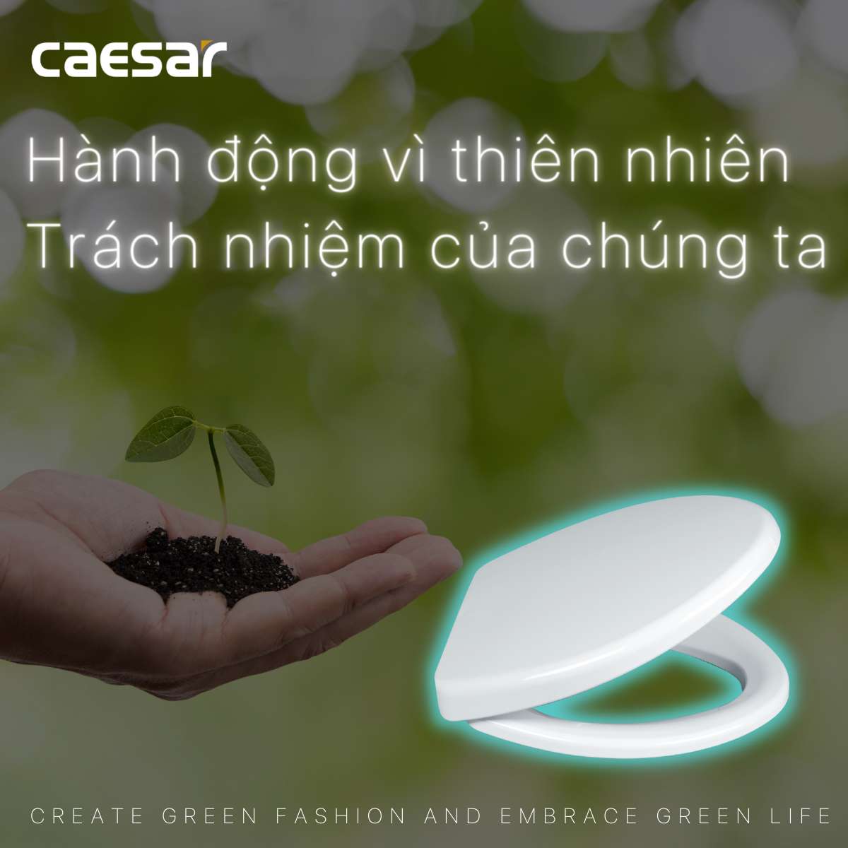 Nắp bồn cầu thường Caesar M220