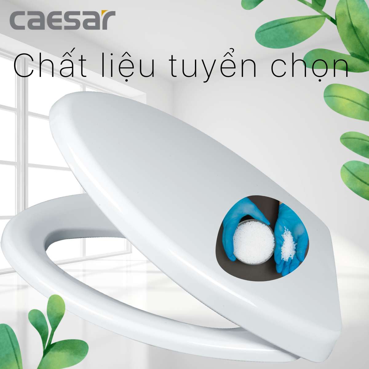 Nắp bồn cầu thường Caesar M220