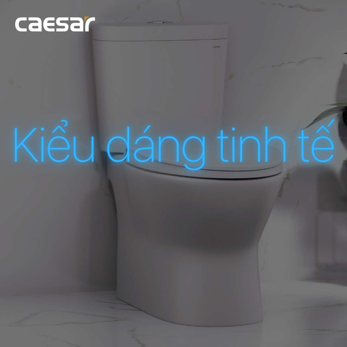 Nắp bồn cầu đóng êm Caesar M221
