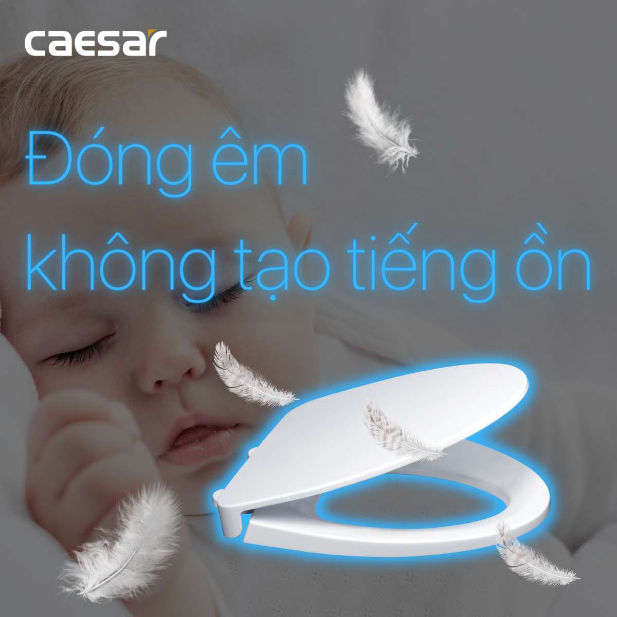 Nắp bồn cầu đóng êm Caesar M221