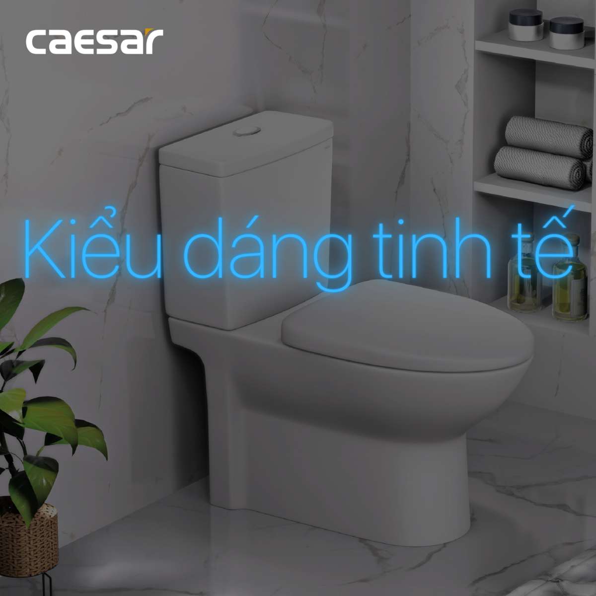 Nắp bồn cầu đóng êm Caesar M232
