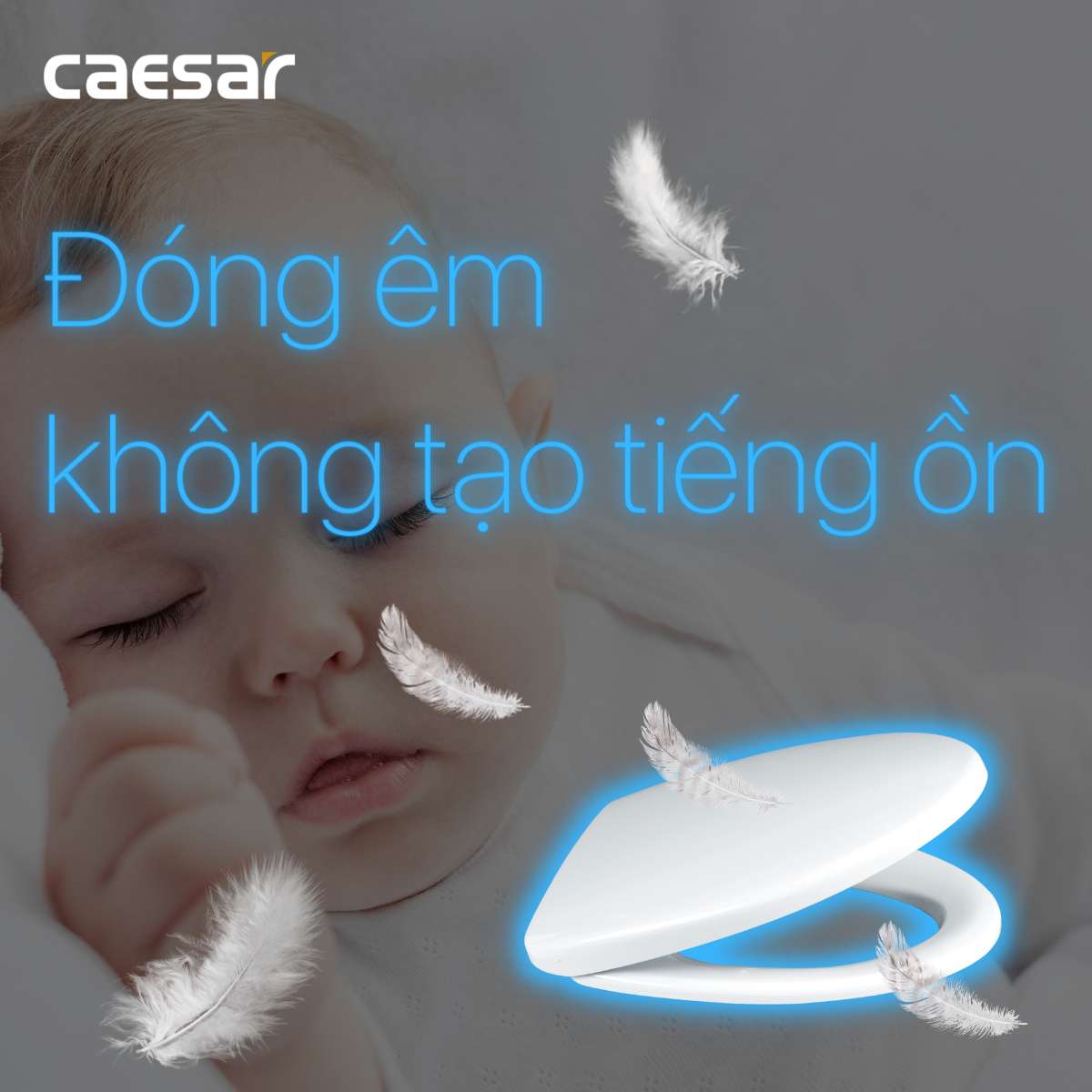 Nắp bồn cầu đóng êm Caesar M232
