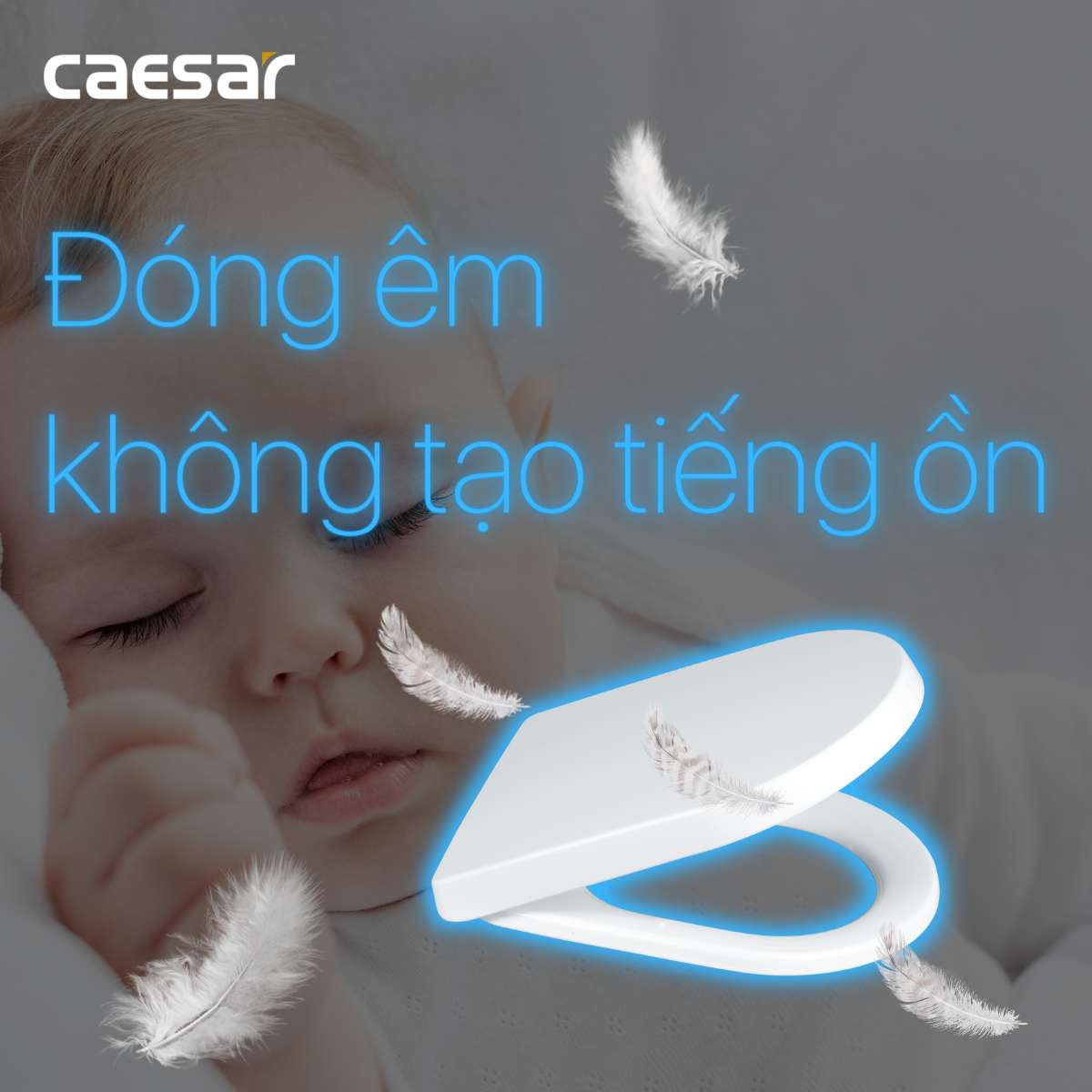 Nắp bồn cầu đóng êm Caesar M243
