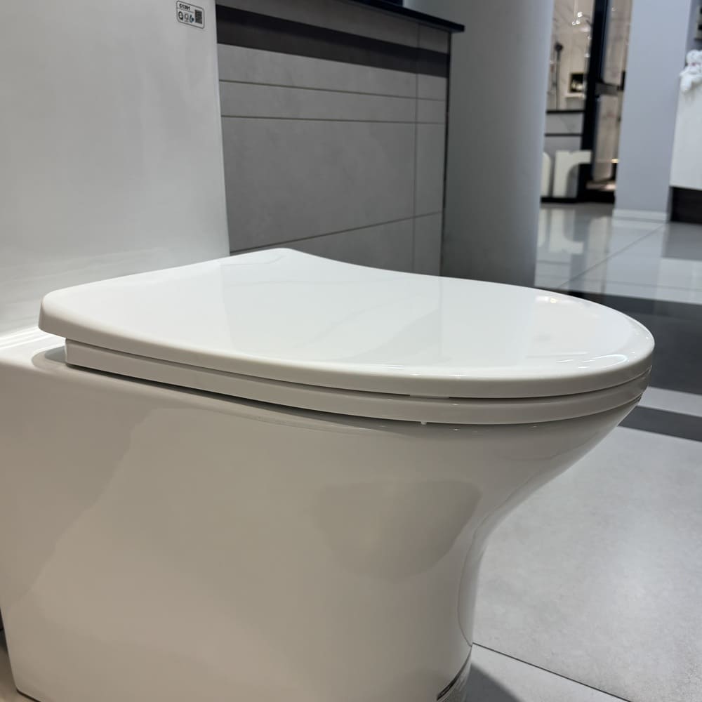 Nắp bồn cầu đóng êm Caesar M260