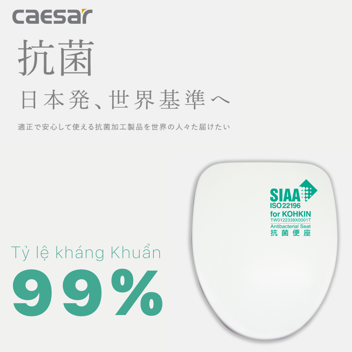 Nắp bồn cầu đóng êm Caesar M260