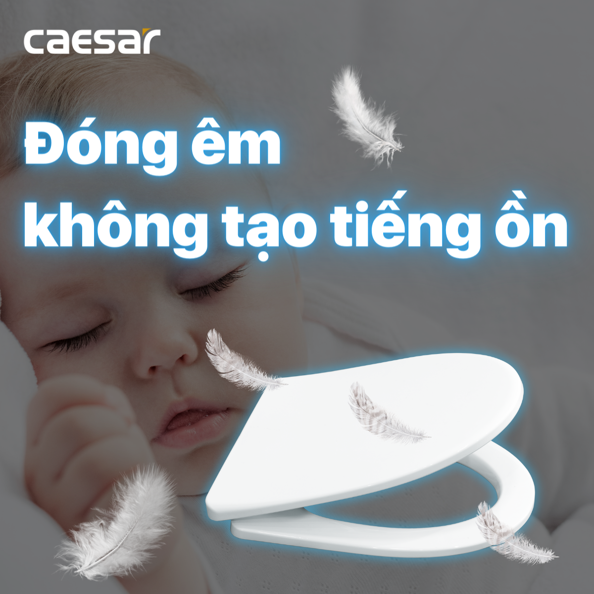 Nắp bồn cầu đóng êm Caesar M260