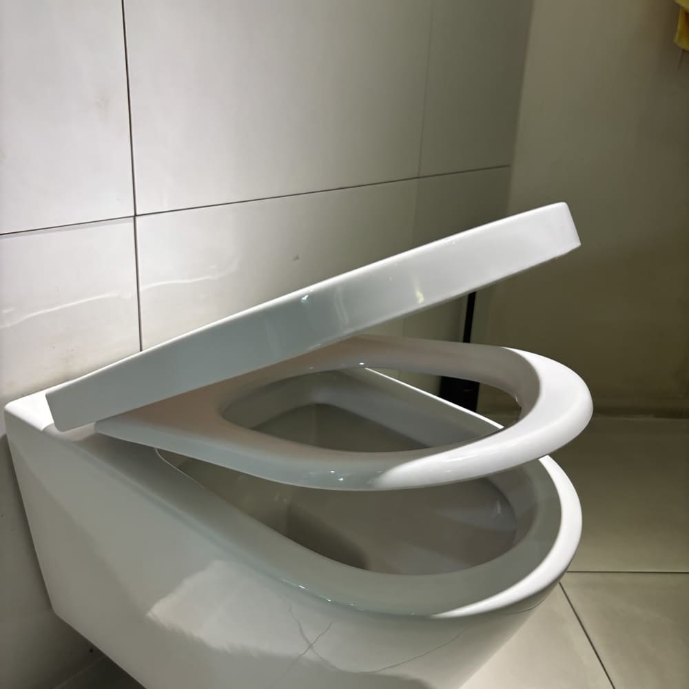 Nắp bồn cầu đóng êm Caesar M244