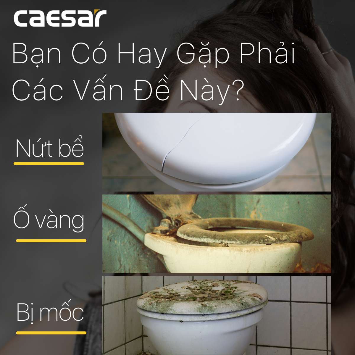 Nắp bồn cầu thường Caesar M282