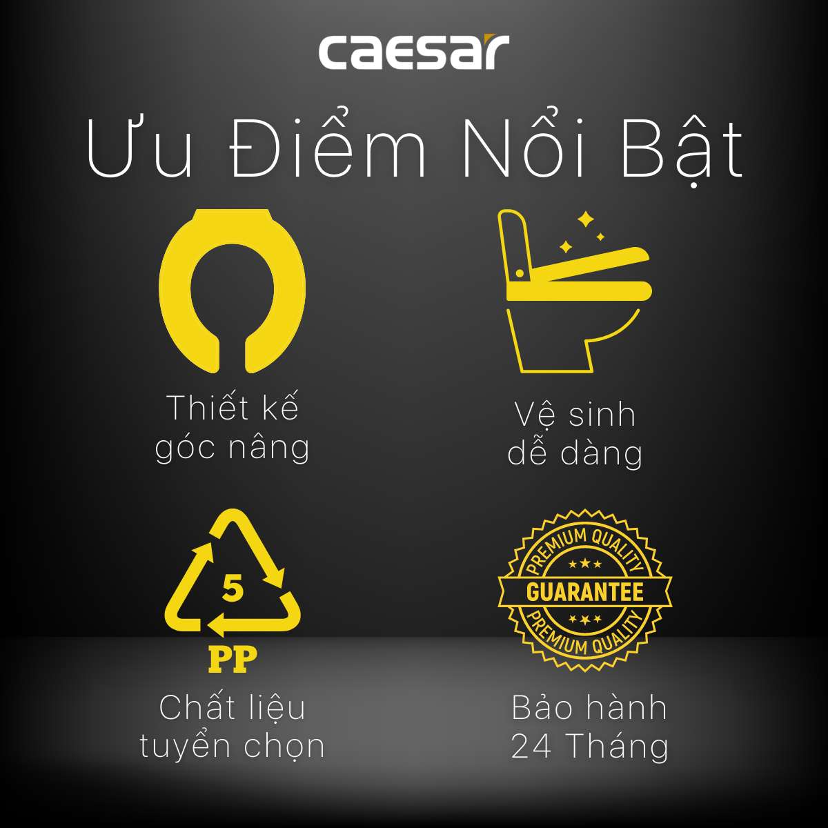 Nắp bồn cầu thường Caesar M282