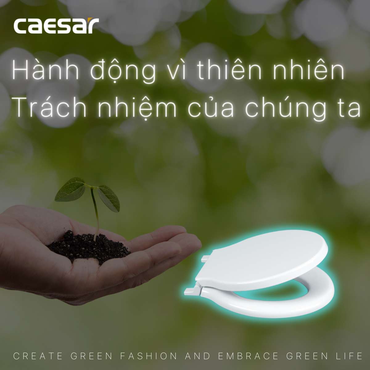 Nắp bồn cầu thường Caesar M282