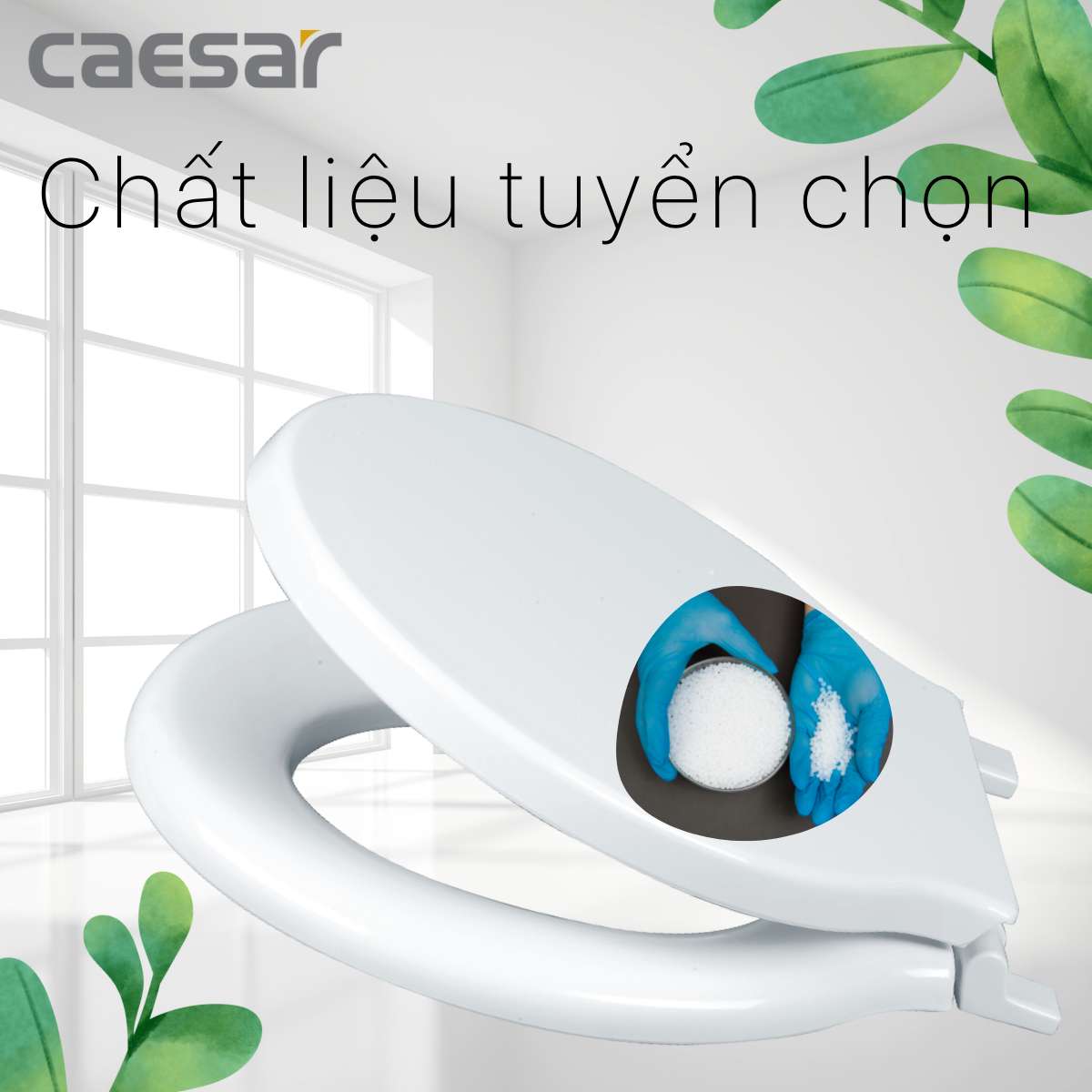 Nắp bồn cầu thường Caesar M282