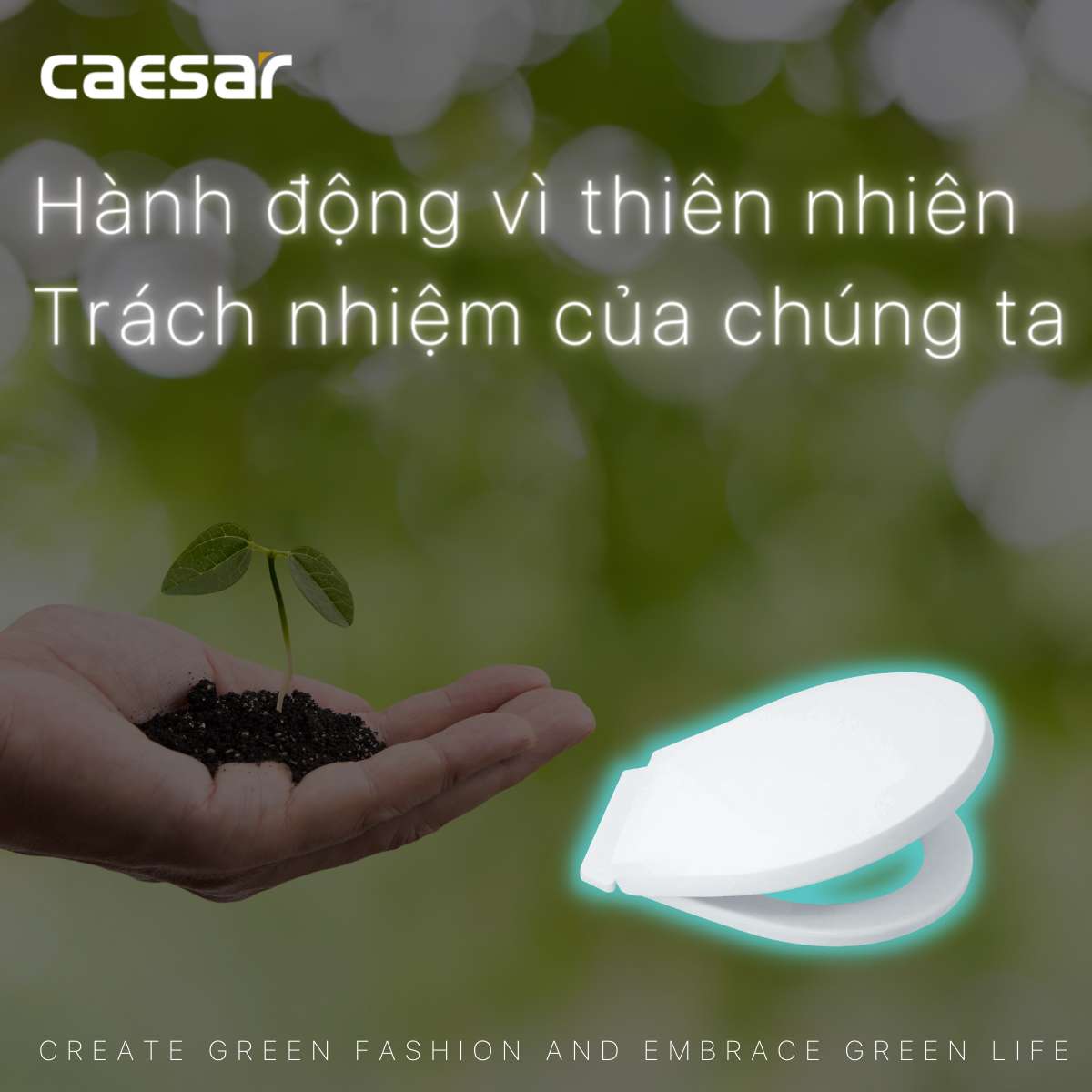 Nắp bồn cầu thường Caesar M284