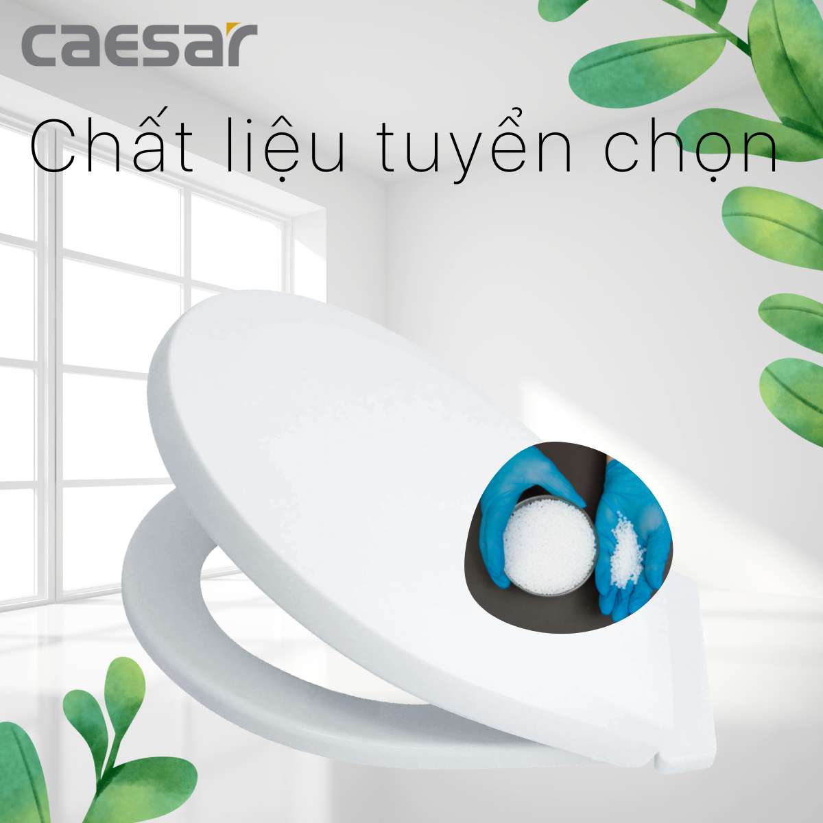 Nắp bồn cầu thường Caesar M284