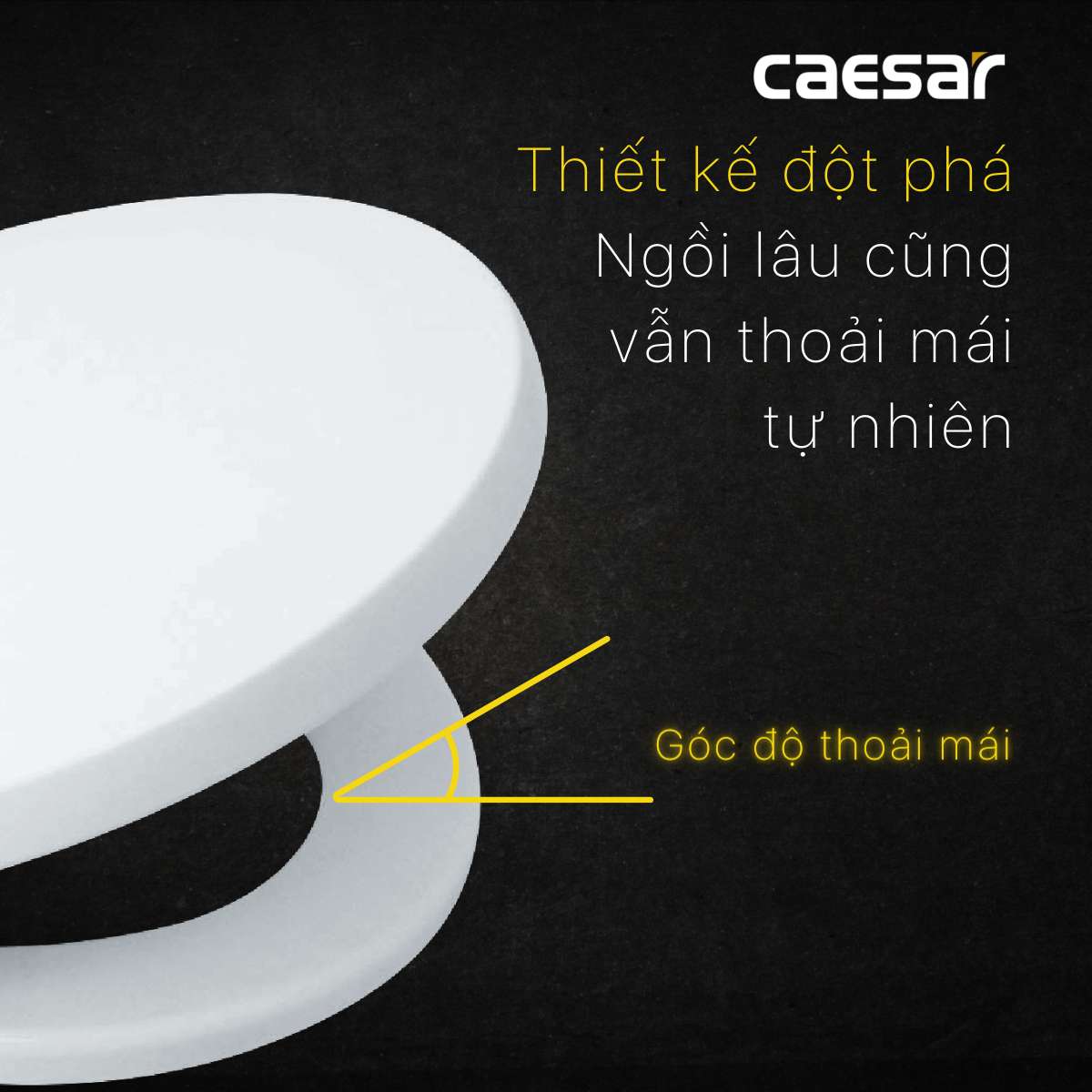 Nắp bồn cầu thường Caesar M284