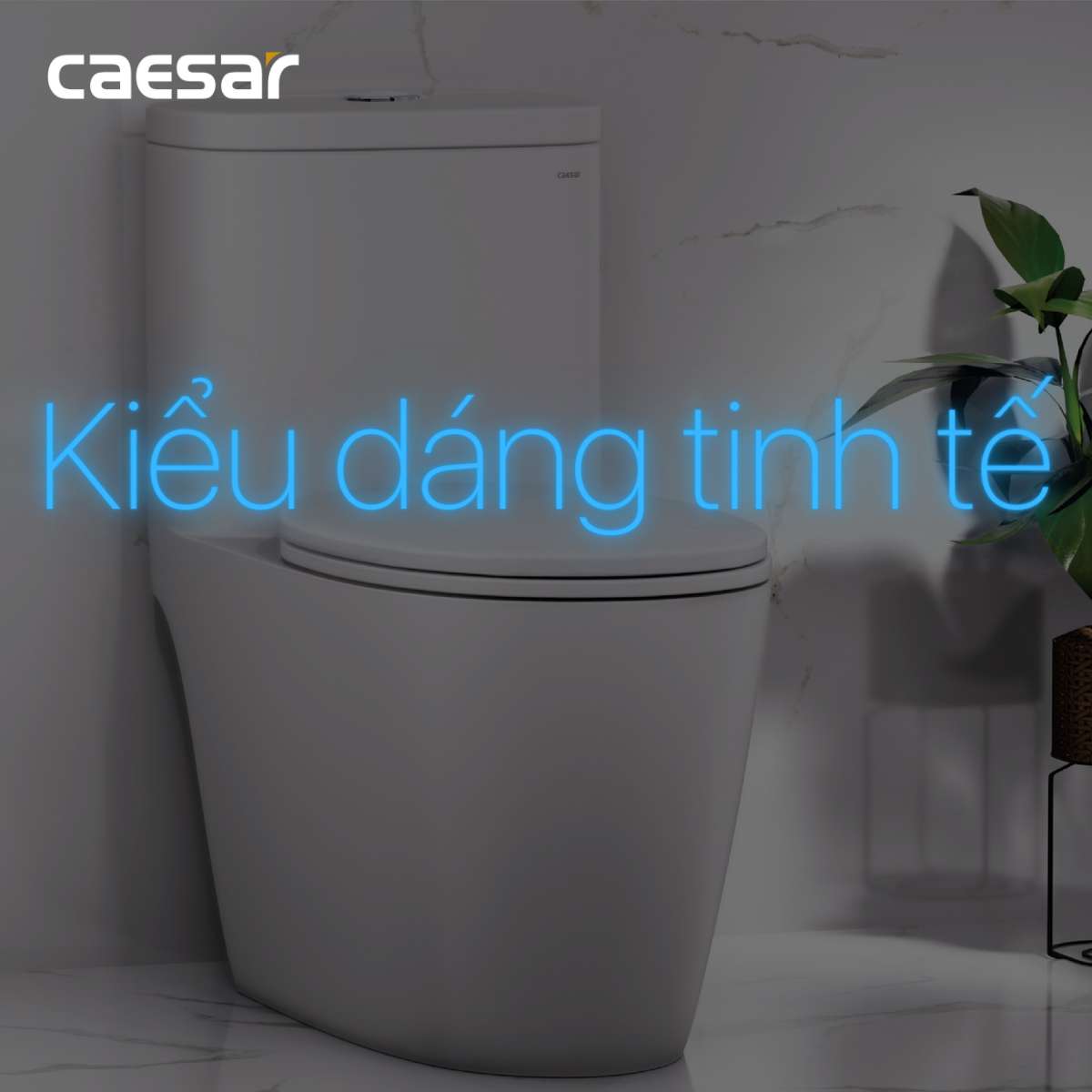 Nắp bồn cầu đóng êm Caesar MU234