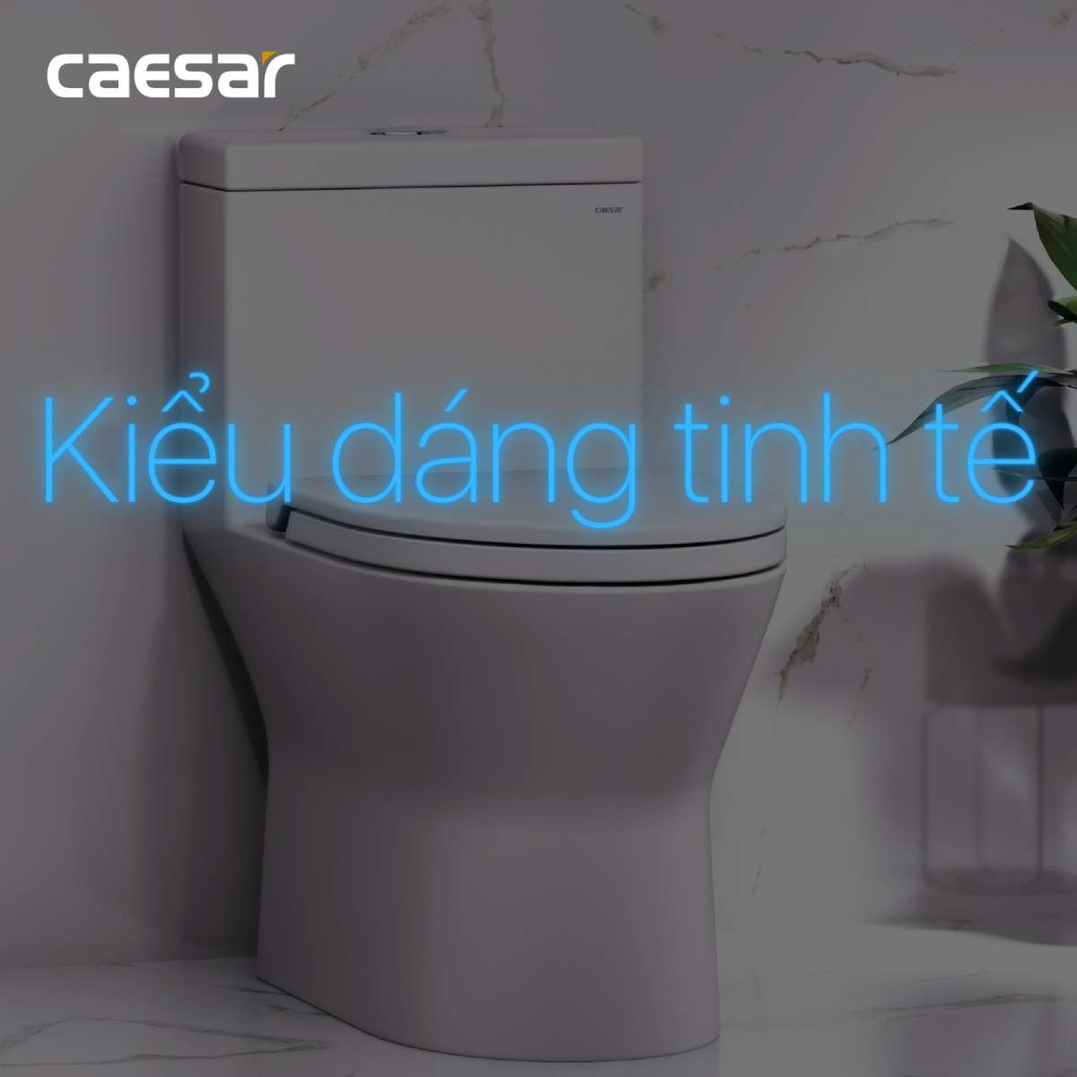 Nắp bồn cầu đóng êm Caesar MU235
