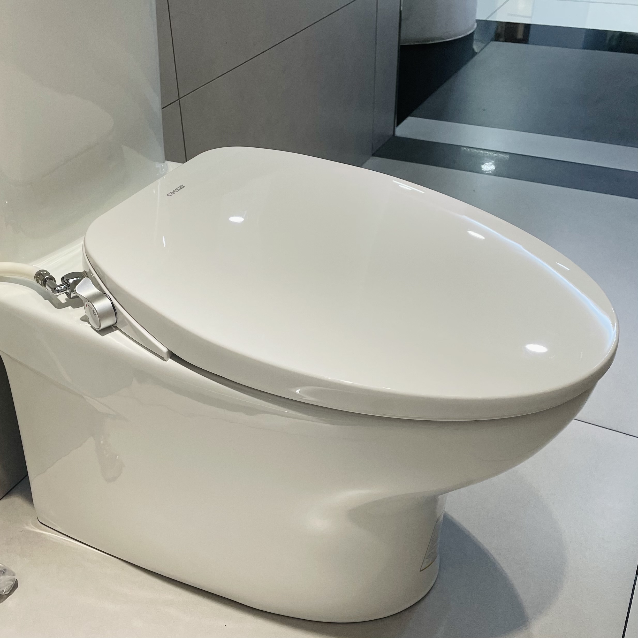 Nắp bồn cầu rửa cơ Caesar TAF060