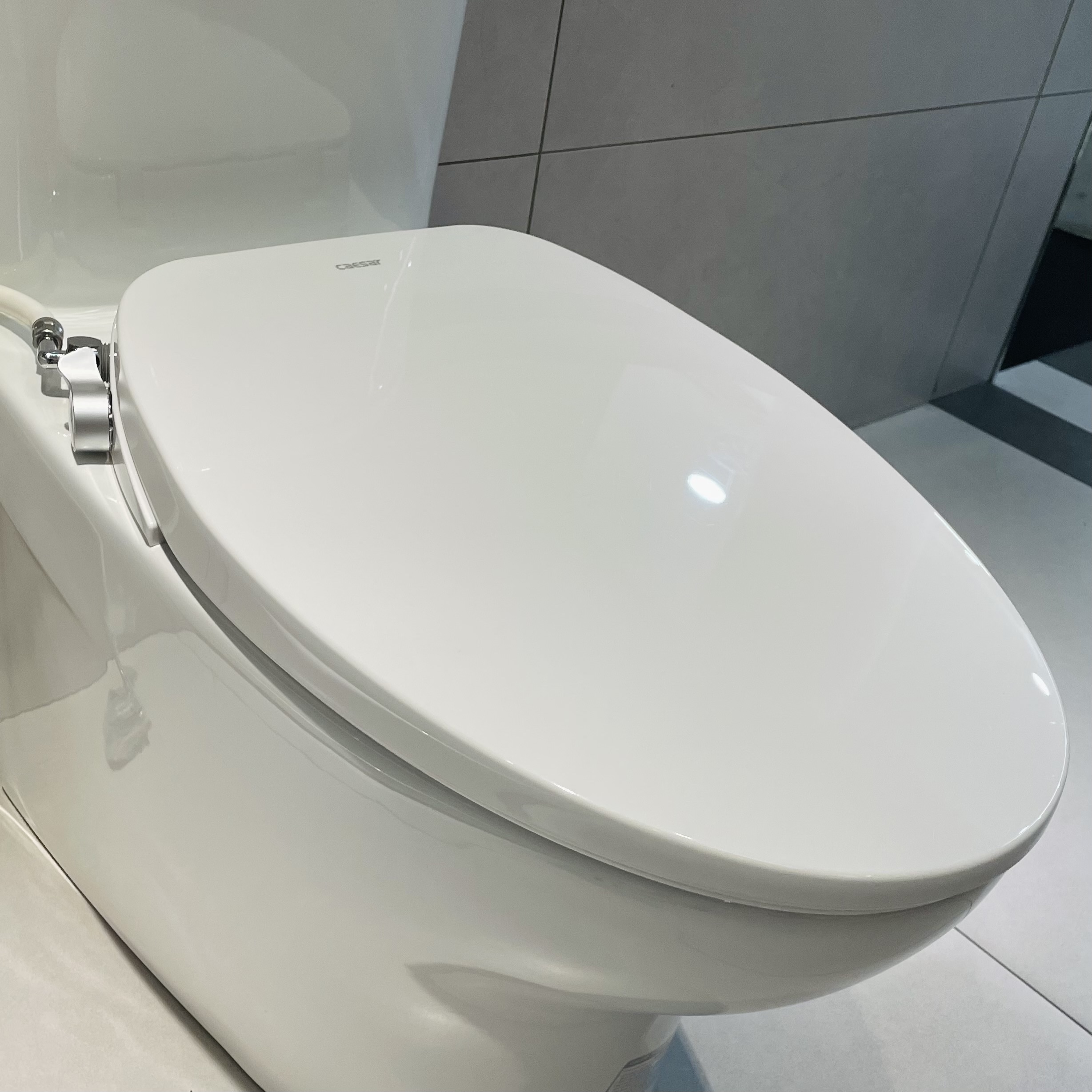 Nắp bồn cầu rửa cơ Caesar TAF060