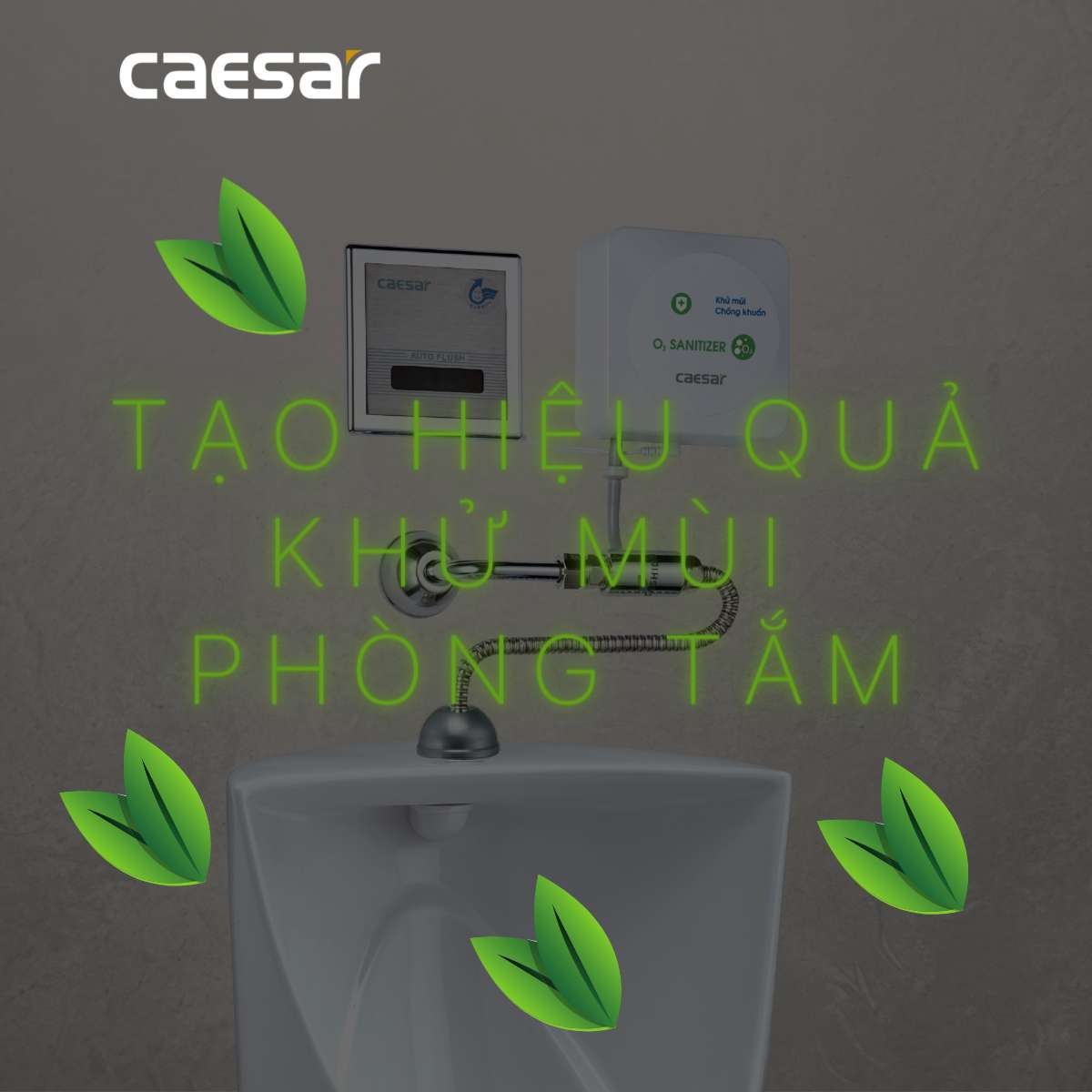 Máy tạo ozon Caesar A610OZ
