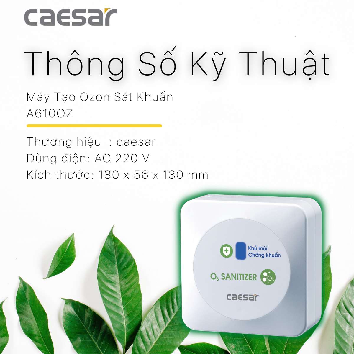 Máy tạo ozon Caesar A610OZ