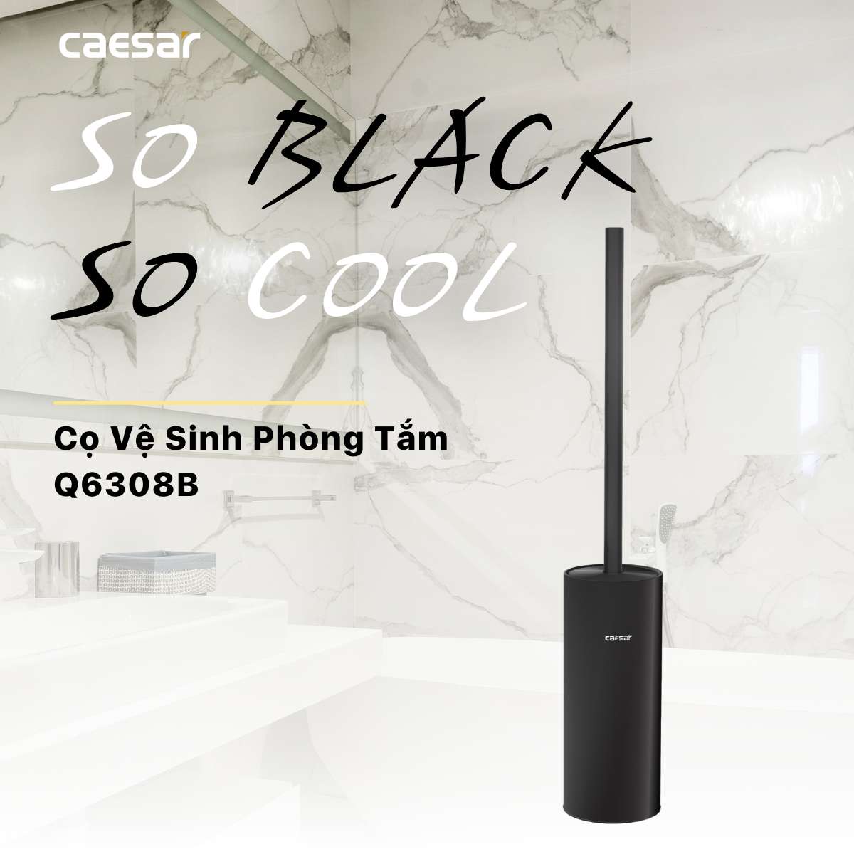 Cọ vệ sinh bồn cầu Caesar Q6308B