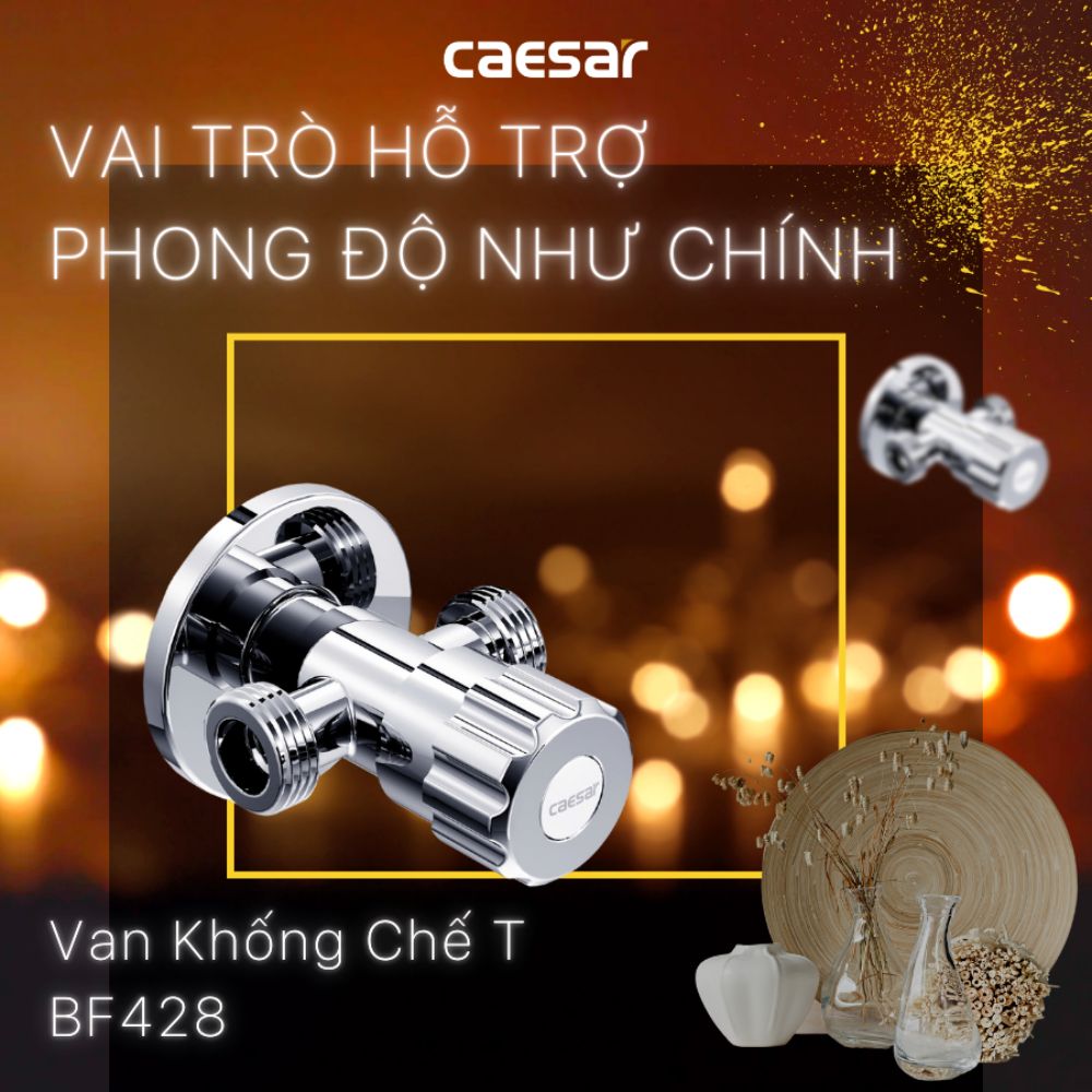 Van khóa nước chữ T Caesar BF428