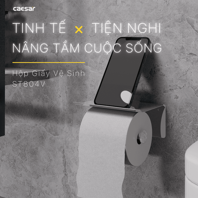 Hộp giấy vệ sinh Caesar ST804V