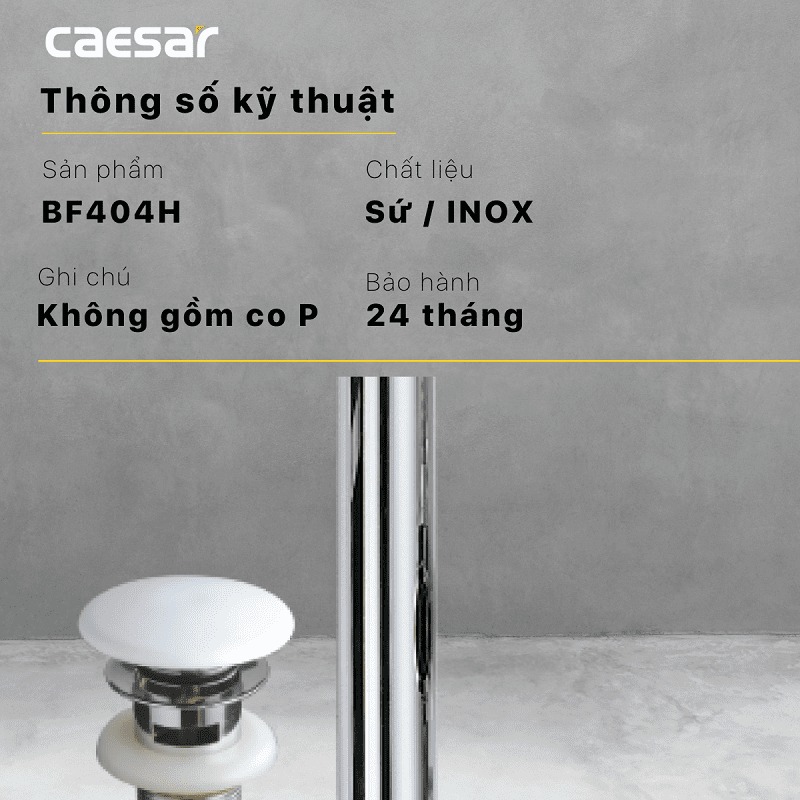 Bộ xả nắp sứ Caesar BF404H