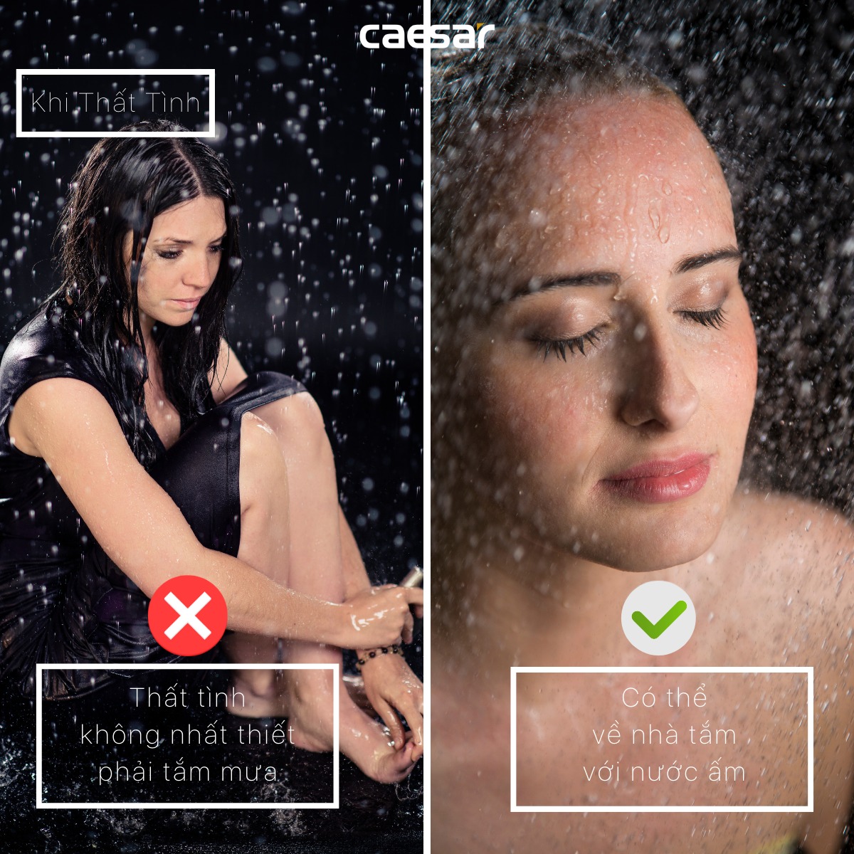 Sen cây tắm đứng Caesar BS124