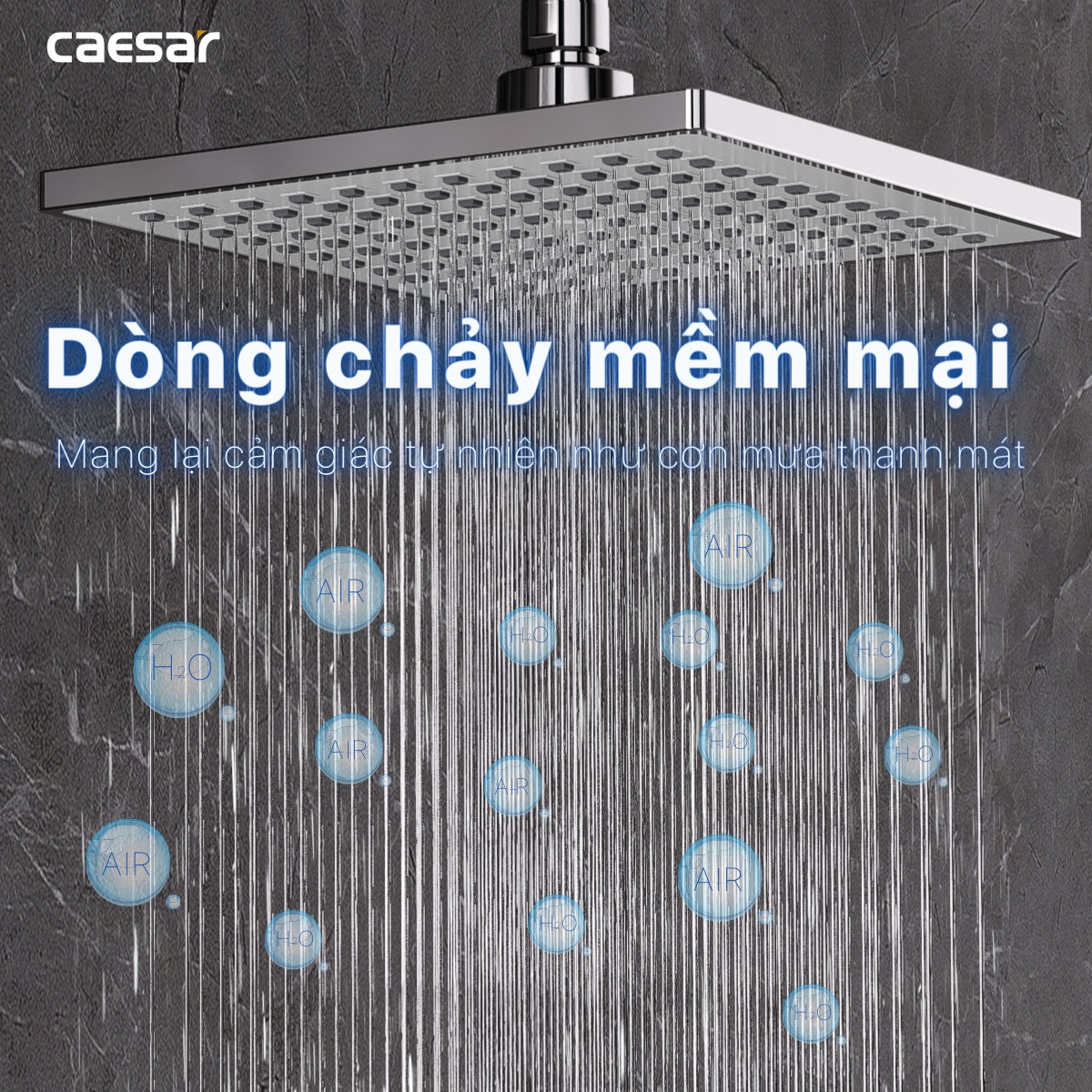 Sen cây tắm đứng Caesar BS124