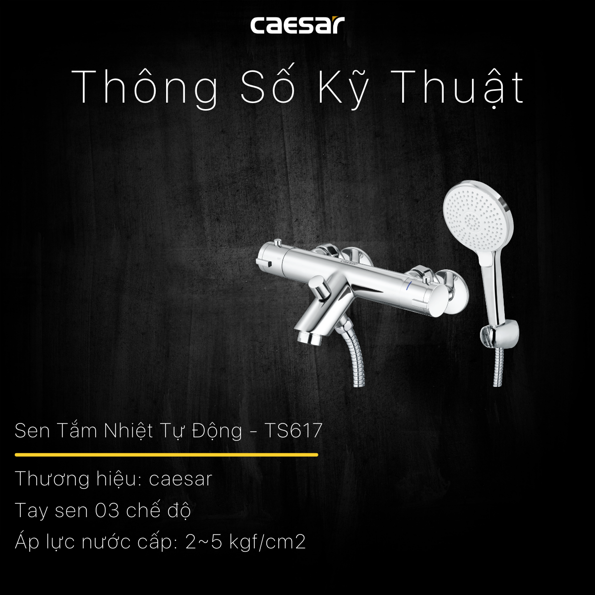 Bộ sen cây tắm đứng nhiệt độ Caesar BS124+TS617