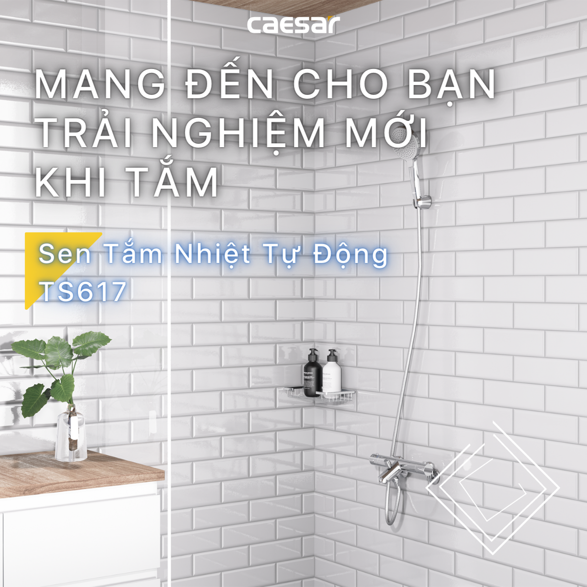 Bộ sen cây tắm đứng nhiệt độ Caesar BS124+TS617