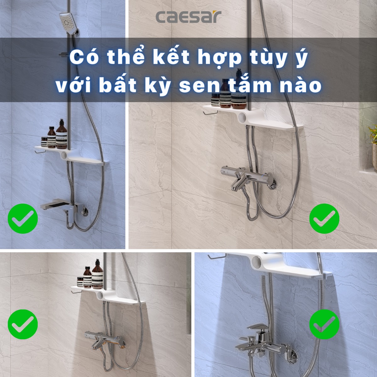 Sen cây tắm đứng Caesar BS126