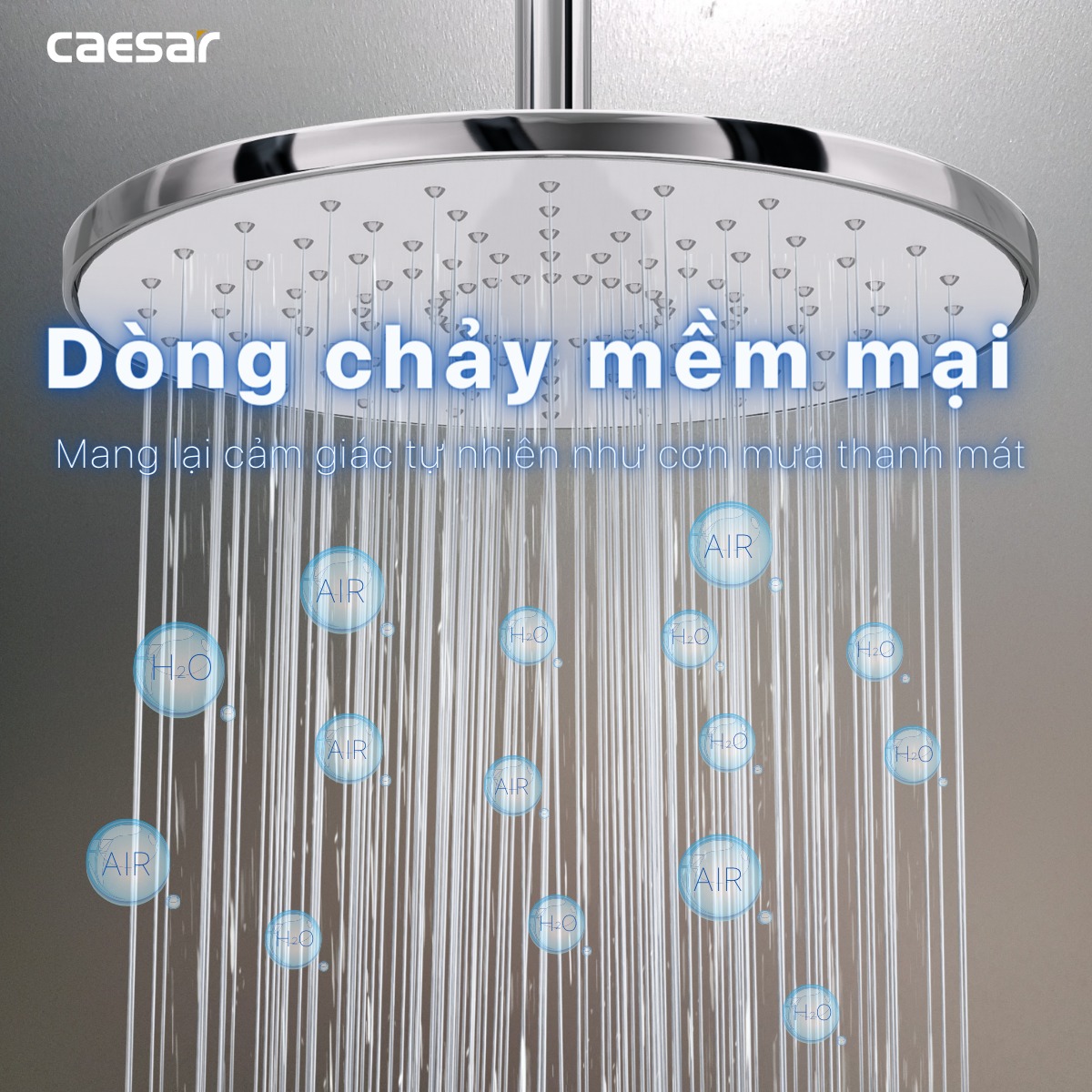 Sen cây tắm đứng Caesar BS126