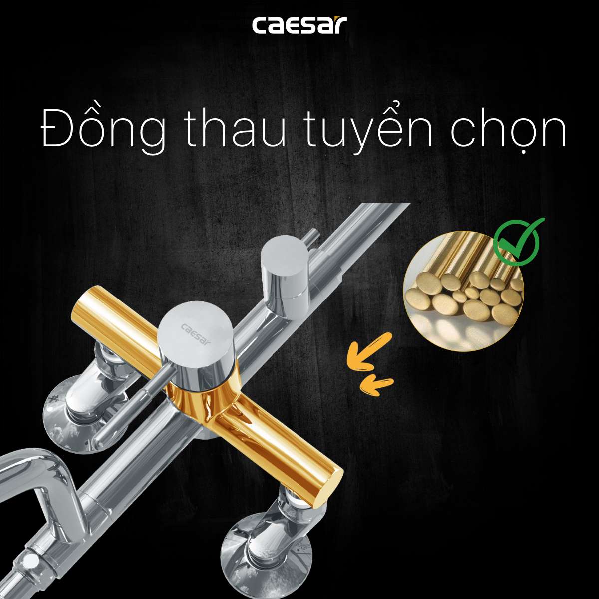 Bộ sen tắm cây nóng lạnh Caesar S1028S